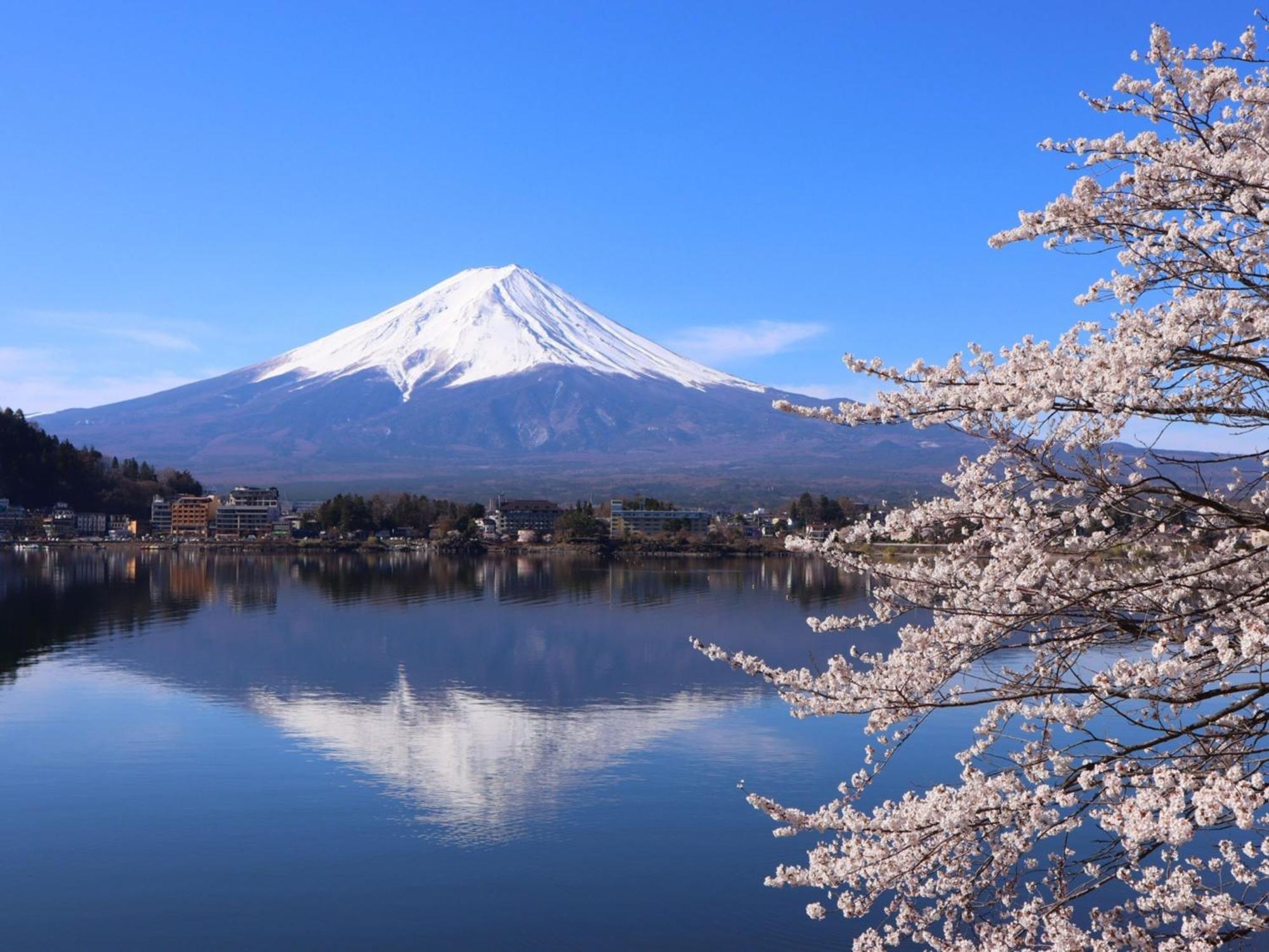 Rakuten Stay Villa Fuji Kawaguchiko Forest 2Ldk With Sauna And Terrace 富士河口湖 外观 照片